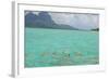 Bora Bora-Styve-Framed Photographic Print