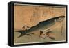 Bora Zu, Striped Mullet (Bora). [Between 1833 and 1836], 1 Print : Woodcut, Color ; 25 X 36.5-Utagawa Hiroshige-Framed Stretched Canvas