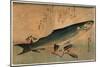 Bora Zu, Striped Mullet (Bora). [Between 1833 and 1836], 1 Print : Woodcut, Color ; 25 X 36.5-Utagawa Hiroshige-Mounted Giclee Print