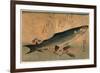 Bora Zu, Striped Mullet (Bora). [Between 1833 and 1836], 1 Print : Woodcut, Color ; 25 X 36.5-Utagawa Hiroshige-Framed Giclee Print