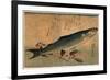 Bora Zu, Striped Mullet (Bora). [Between 1833 and 1836], 1 Print : Woodcut, Color ; 25 X 36.5-Utagawa Hiroshige-Framed Giclee Print