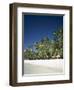 Boracay Beach, Palm Trees and Sand, Boracay Island, Philippines-Steve Vidler-Framed Photographic Print