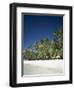 Boracay Beach, Palm Trees and Sand, Boracay Island, Philippines-Steve Vidler-Framed Photographic Print