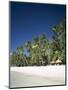 Boracay Beach, Palm Trees and Sand, Boracay Island, Philippines-Steve Vidler-Mounted Photographic Print