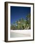 Boracay Beach, Palm Trees and Sand, Boracay Island, Philippines-Steve Vidler-Framed Photographic Print