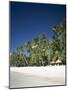 Boracay Beach, Palm Trees and Sand, Boracay Island, Philippines-Steve Vidler-Mounted Photographic Print