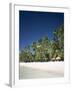 Boracay Beach, Palm Trees and Sand, Boracay Island, Philippines-Steve Vidler-Framed Photographic Print