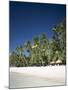 Boracay Beach, Palm Trees and Sand, Boracay Island, Philippines-Steve Vidler-Mounted Photographic Print