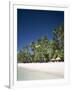 Boracay Beach, Palm Trees and Sand, Boracay Island, Philippines-Steve Vidler-Framed Photographic Print