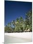 Boracay Beach, Palm Trees and Sand, Boracay Island, Philippines-Steve Vidler-Mounted Photographic Print