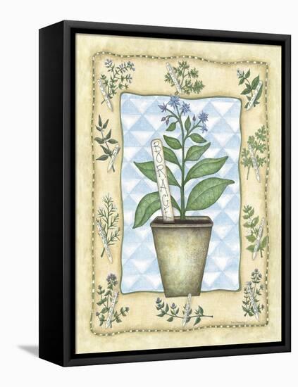 Borage-Robin Betterley-Framed Stretched Canvas