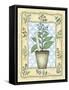 Borage-Robin Betterley-Framed Stretched Canvas