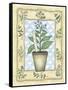 Borage-Robin Betterley-Framed Stretched Canvas