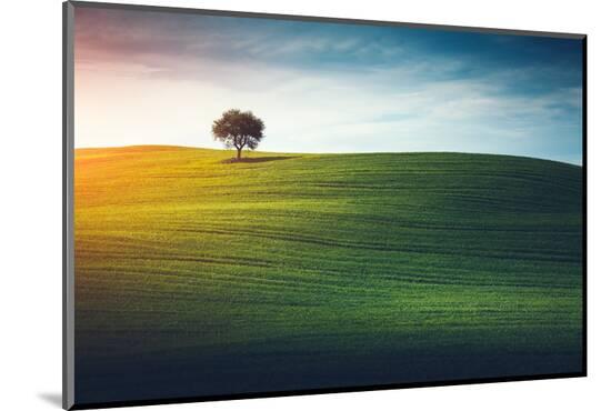 Photographic Print, , large