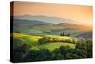 Stretched Canvas