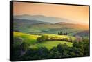 Canvas Black