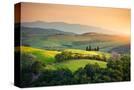 Stretched Canvas