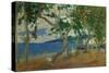 Bord de mer I-Seashore I, 1887. Island of Martinique. Canvas, 54 x 90 cm I. N. 1825.-Paul Gauguin-Stretched Canvas