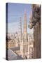 Bordeaux Cathedral (Cathedrale Saint-Andre De Bordeaux), Bordeaux, Gironde, Aquitaine, France-Julian Elliott-Stretched Canvas