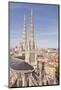 Bordeaux Cathedral (Cathedrale Saint-Andre De Bordeaux), Bordeaux, Gironde, Aquitaine, France-Julian Elliott-Mounted Photographic Print