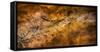 Bordeaux, Gironde Department, Aquitaine, France. Exact facsimile of a painting from the Lascaux...-null-Framed Stretched Canvas