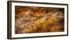 Bordeaux, Gironde Department, Aquitaine, France. Exact facsimile of a painting from the Lascaux...-null-Framed Photographic Print