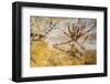 Bordeaux, Gironde Department, Aquitaine, France. Exact facsimile of a painting from the Lascaux...-null-Framed Photographic Print