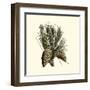 Bordeaux Pine-null-Framed Art Print