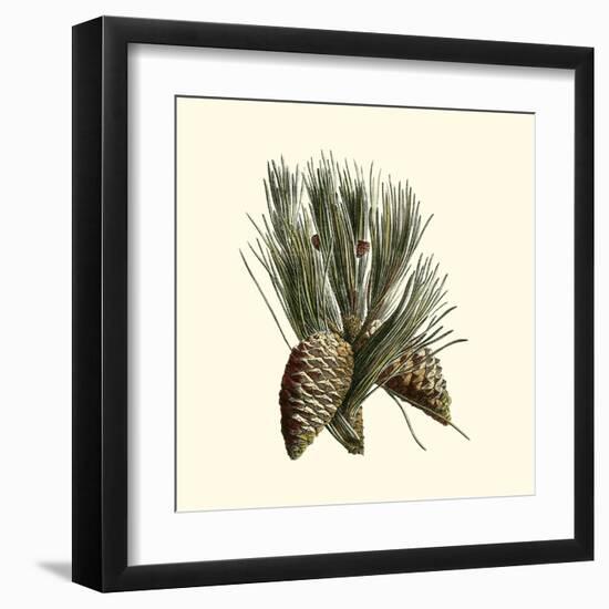 Bordeaux Pine-null-Framed Art Print