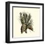 Bordeaux Pine-null-Framed Art Print