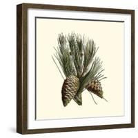 Bordeaux Pine-null-Framed Art Print