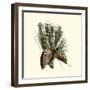 Bordeaux Pine-null-Framed Art Print