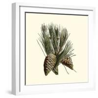 Bordeaux Pine-null-Framed Art Print