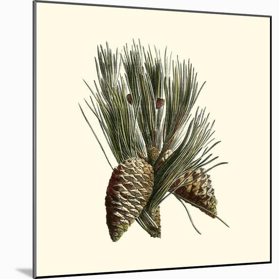 Bordeaux Pine-null-Mounted Art Print