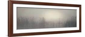 Bordeaux Reeds-Richard D'Amore-Framed Art Print