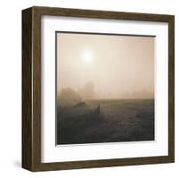 Bordeaux Sunrise-Richard D'Amore-Framed Art Print