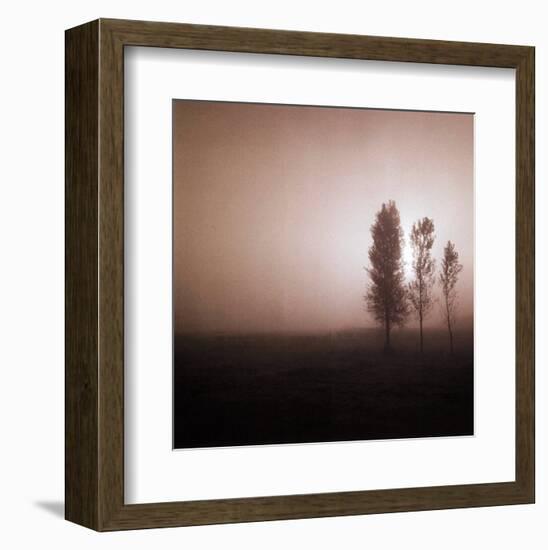 Bordeaux Trees-Richard D'Amore-Framed Art Print