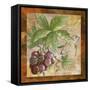 Bordeaux Wine Grapes-Megan Aroon Duncanson-Framed Stretched Canvas