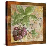 Bordeaux Wine Grapes-Megan Aroon Duncanson-Stretched Canvas