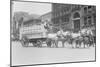 Borden Dairies Enter a Horse Drawn Wagon In the Work Horse Parade-null-Mounted Art Print