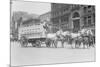 Borden Dairies Enter a Horse Drawn Wagon In the Work Horse Parade-null-Mounted Art Print