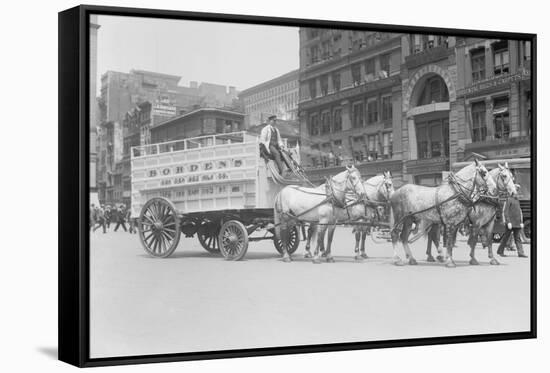 Borden Dairies Enter a Horse Drawn Wagon In the Work Horse Parade-null-Framed Stretched Canvas