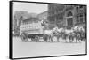 Borden Dairies Enter a Horse Drawn Wagon In the Work Horse Parade-null-Framed Stretched Canvas