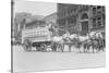 Borden Dairies Enter a Horse Drawn Wagon In the Work Horse Parade-null-Stretched Canvas