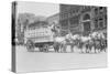 Borden Dairies Enter a Horse Drawn Wagon In the Work Horse Parade-null-Stretched Canvas
