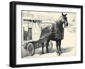 Borden's Bob; Ambassador Of Good Will-C.W. Anderson-Framed Art Print