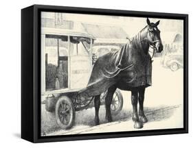 Borden's Bob; Ambassador Of Good Will-C.W. Anderson-Framed Stretched Canvas