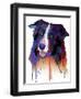 Border Collie 1-Marlene Watson-Framed Giclee Print