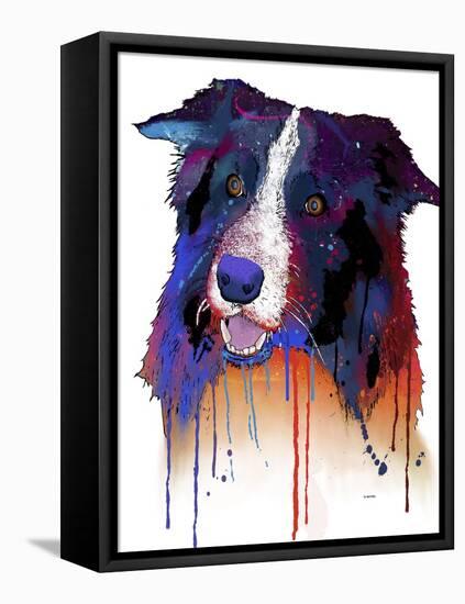 Border Collie 1-Marlene Watson-Framed Stretched Canvas