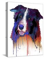 Border Collie 1-Marlene Watson-Stretched Canvas